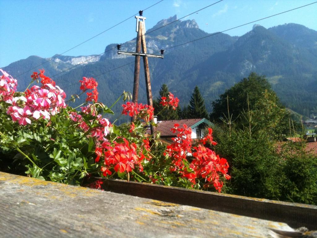 Pension Larchenhof Maurach  Rom bilde